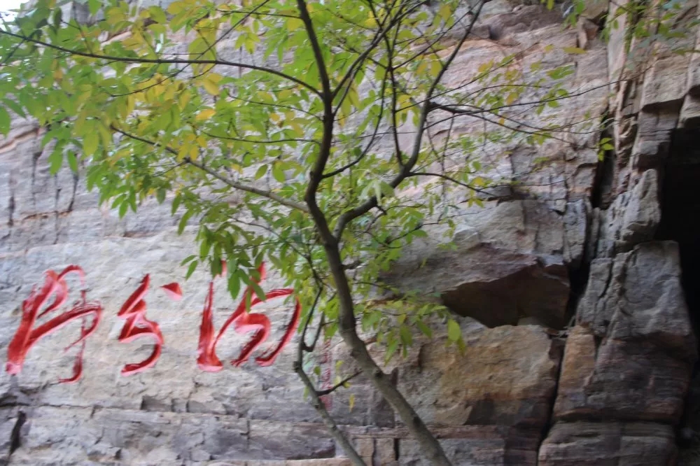 �f(w��n)��ɽ·���������w����(m��ng)־���(ji��n)